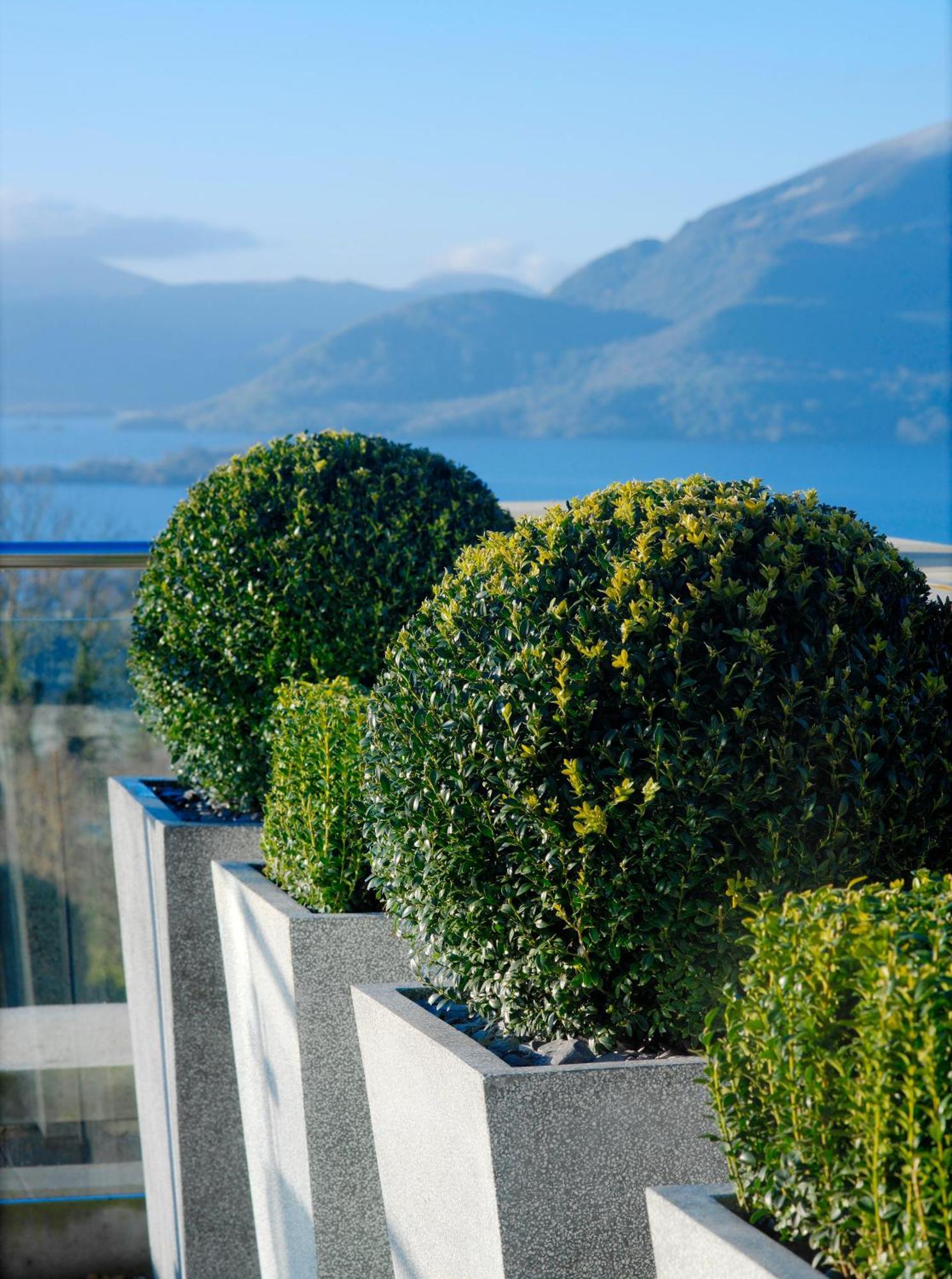 Aghadoe Heights Hotel & Spa Killarney Exterior foto Boxwood